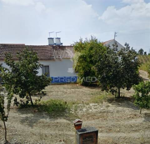 Deslumbrante quinta , localizada em pleno ribatejo casével / santarém