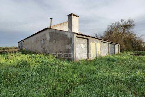 Deslumbrante quinta , localizada em pleno ribatejo casével / santarém
