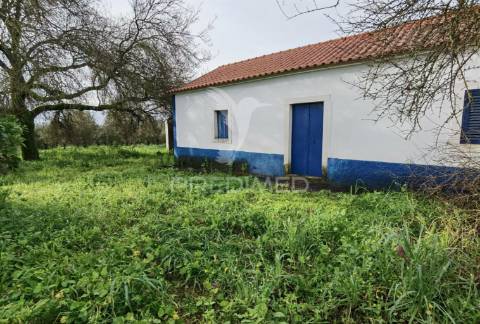 Deslumbrante quinta , localizada em pleno ribatejo casével / santarém