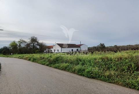 Deslumbrante quinta , localizada em pleno ribatejo casével / santarém