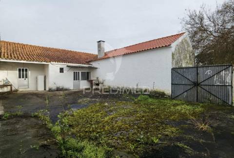 Deslumbrante quinta , localizada em pleno ribatejo casével / santarém