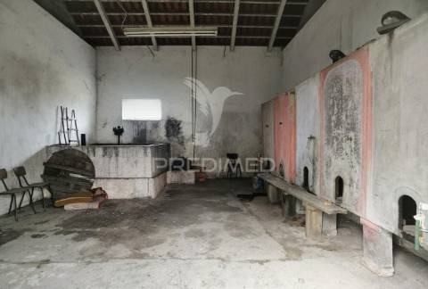 Deslumbrante quinta , localizada em pleno ribatejo casével / santarém