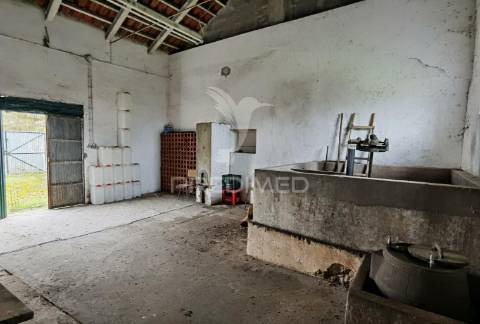 Deslumbrante quinta , localizada em pleno ribatejo casével / santarém