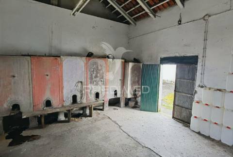 Deslumbrante quinta , localizada em pleno ribatejo casével / santarém