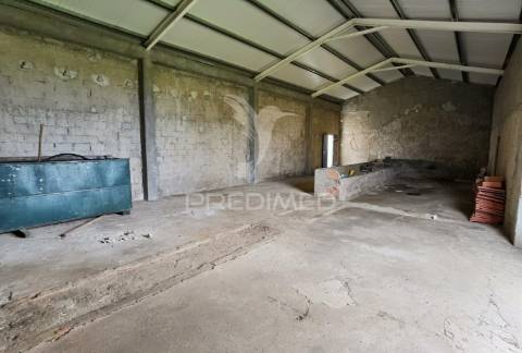 Deslumbrante quinta , localizada em pleno ribatejo casével / santarém