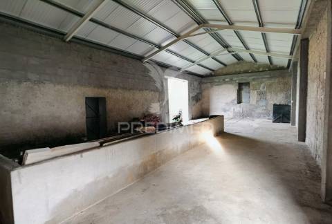 Deslumbrante quinta , localizada em pleno ribatejo casével / santarém