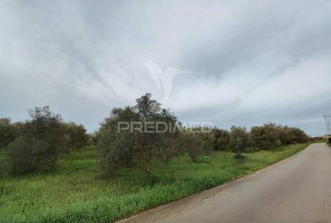 Deslumbrante quinta , localizada em pleno ribatejo casével / santarém