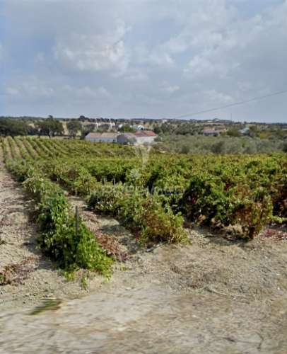 Deslumbrante quinta , localizada em pleno ribatejo casével / santarém