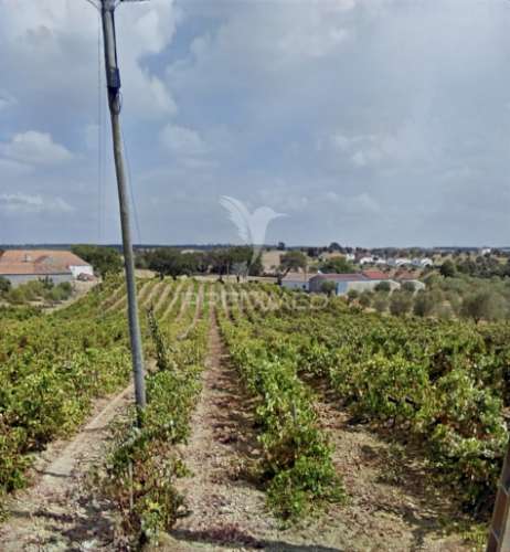 Deslumbrante quinta , localizada em pleno ribatejo casével / santarém