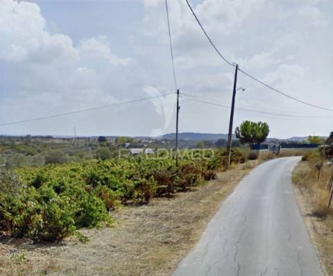 Deslumbrante quinta , localizada em pleno ribatejo casével / santarém