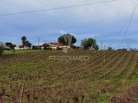 Deslumbrante quinta , localizada em pleno ribatejo casével / santarém