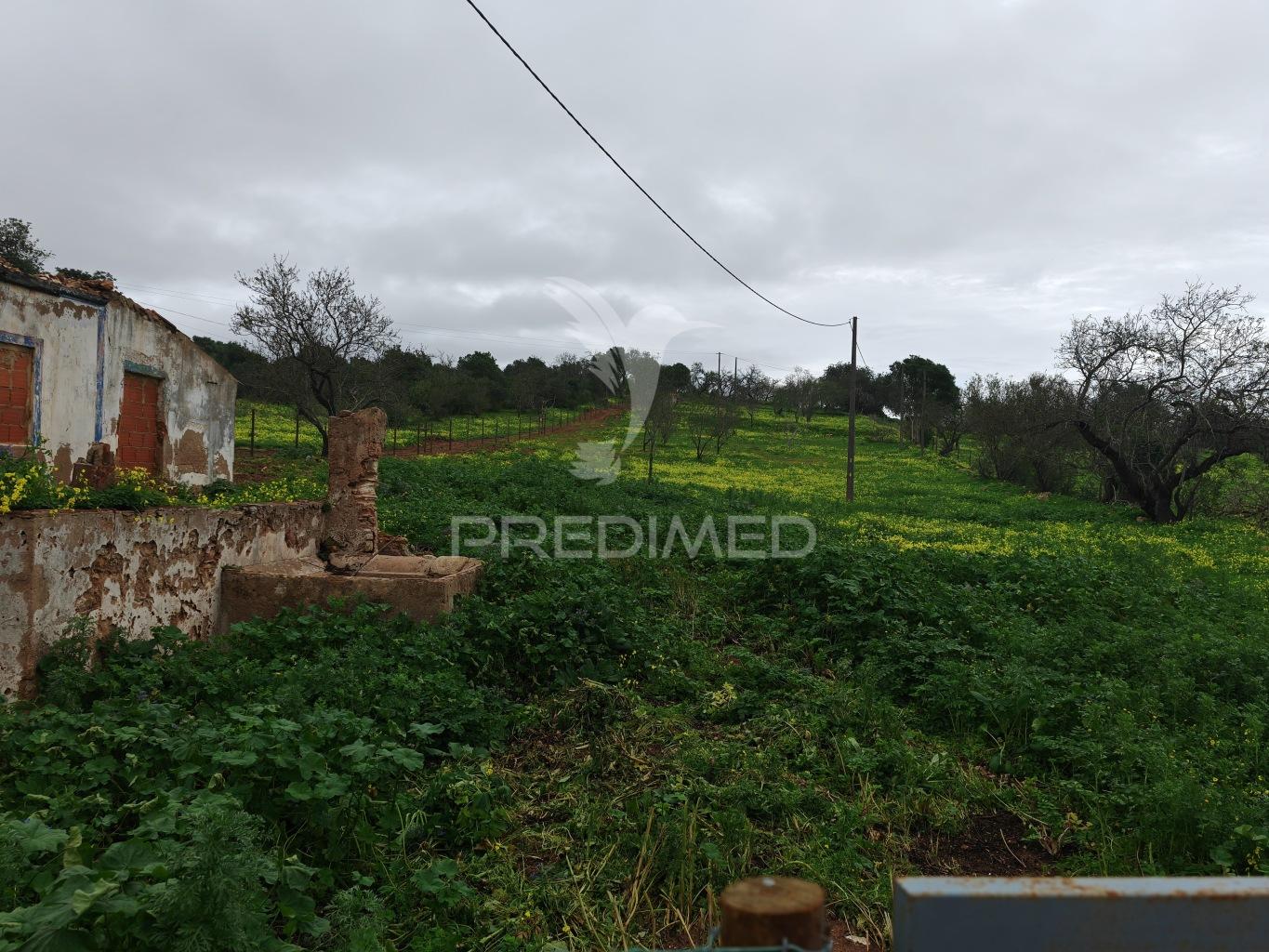 Terreno com 2 ruinas junto ao rio
