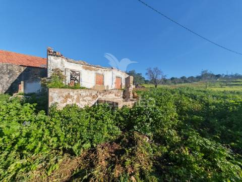 Terreno com 2 ruinas junto ao rio