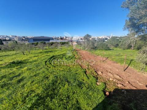 Terreno com 2 ruinas junto ao rio