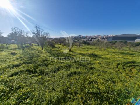 Terreno com 2 ruinas junto ao rio