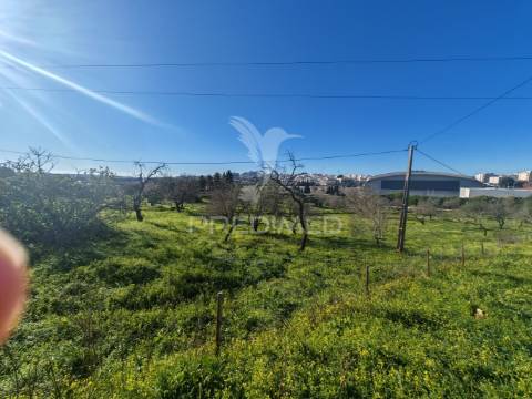 Terreno com 2 ruinas junto ao rio