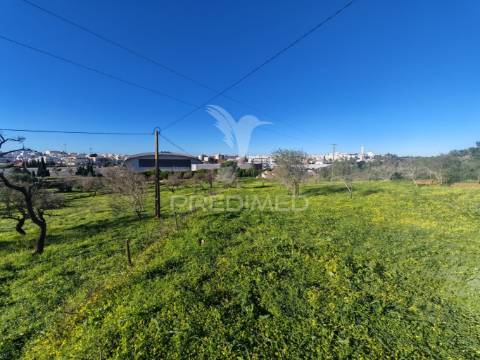 Terreno com 2 ruinas junto ao rio