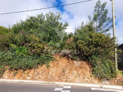 Terreno rústico camacha