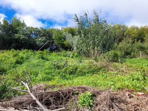 Terreno rústico camacha