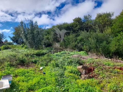 Terreno rústico camacha