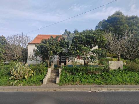 Terreno/quintinha com  23000m2  e moradia t3