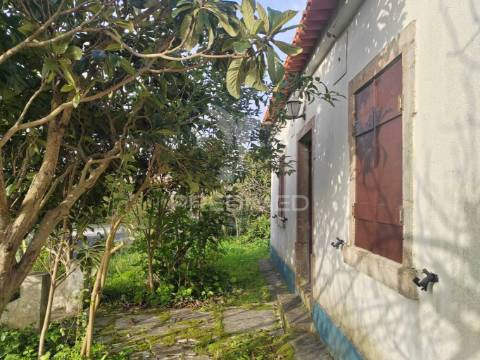 Terreno/quintinha com  23000m2  e moradia t3