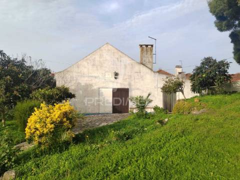 Terreno/quintinha com  23000m2  e moradia t3