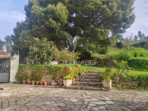 Terreno/quintinha com  23000m2  e moradia t3