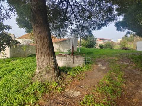 Terreno/quintinha com  23000m2  e moradia t3