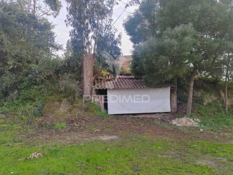 Terreno/quintinha com  23000m2  e moradia t3