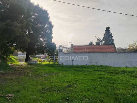 Terreno/quintinha com  23000m2  e moradia t3