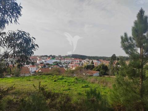 Terreno/quintinha com  23000m2  e moradia t3