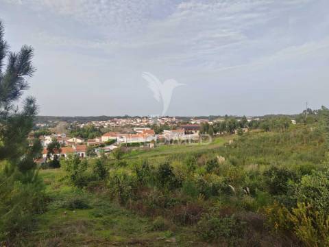 Terreno/quintinha com  23000m2  e moradia t3