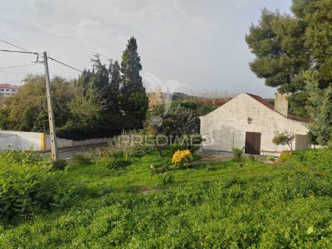 Terreno/quintinha com  23000m2  e moradia t3