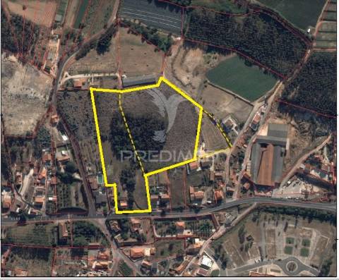 Terreno/quintinha com  23000m2  e moradia t3