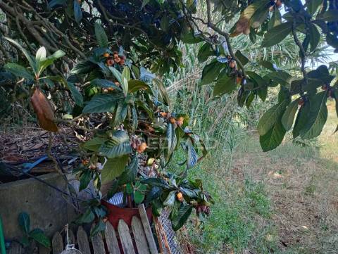 Magnífico terreno/ com apoio agrícola