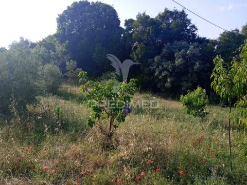 Magnífico terreno/ com apoio agrícola