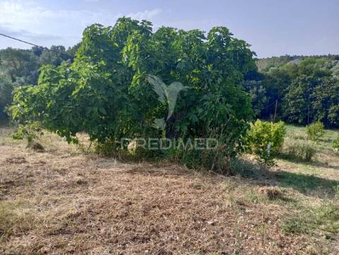Magnífico terreno/ com apoio agrícola