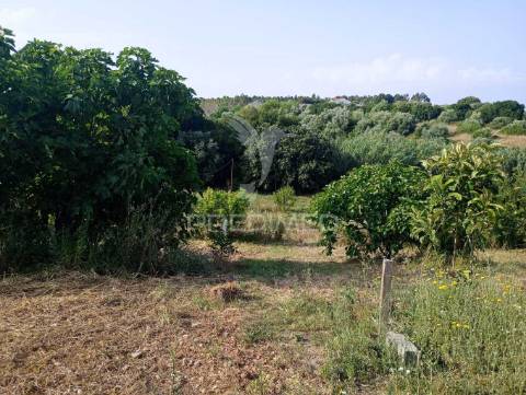Magnífico terreno/ com apoio agrícola
