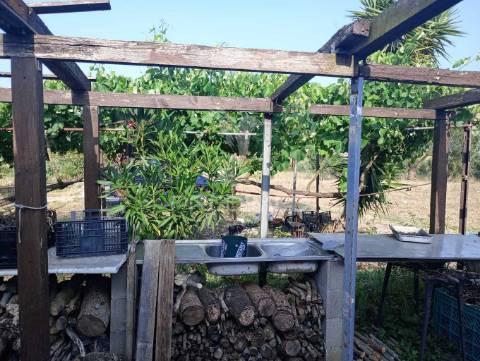 Magnífico terreno/ com apoio agrícola