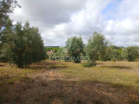 Magnífico terreno/ com apoio agrícola