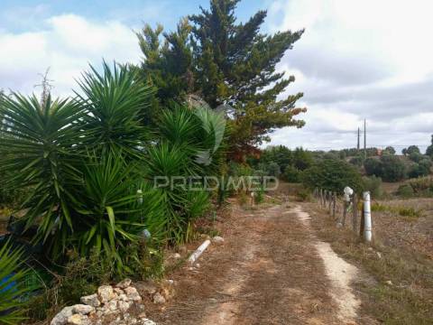 Magnífico terreno/ com apoio agrícola