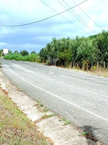 Magnífico terreno/ com apoio agrícola