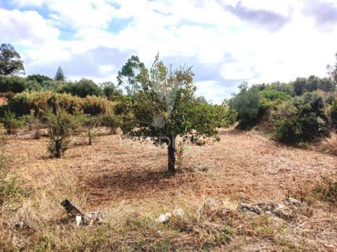 Magnífico terreno/ com apoio agrícola