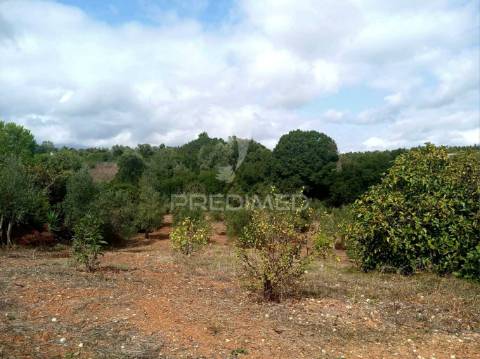 Magnífico terreno/ com apoio agrícola
