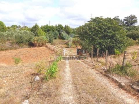 Magnífico terreno/ com apoio agrícola