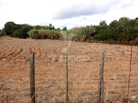 Magnífico terreno/ com apoio agrícola