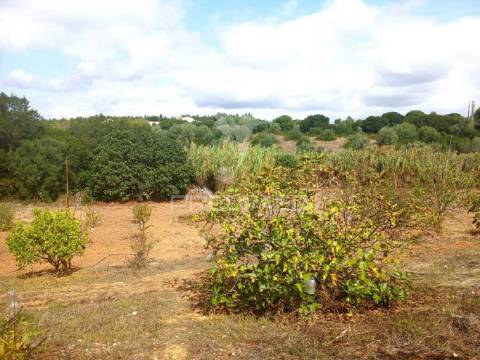 Magnífico terreno/ com apoio agrícola