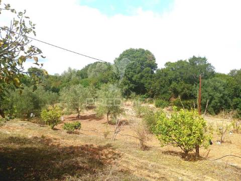 Magnífico terreno/ com apoio agrícola
