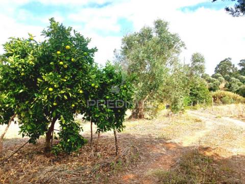 Magnífico terreno/ com apoio agrícola